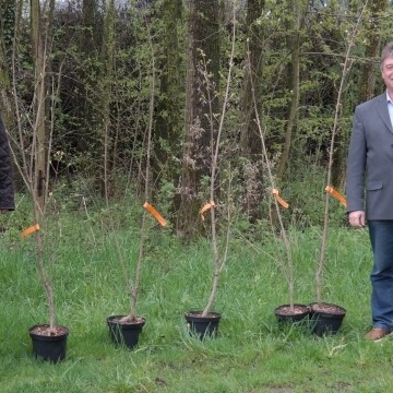 18. April 2016 Gemeinde Schalkham